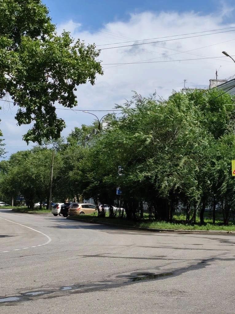 17 июля представители ОХКО ООО «Всероссийского общества инвалидов» г. Комсомольска-на-Амуре проверяли благоустройство некоторых улиц г. Комсомольска-на-Амуре.