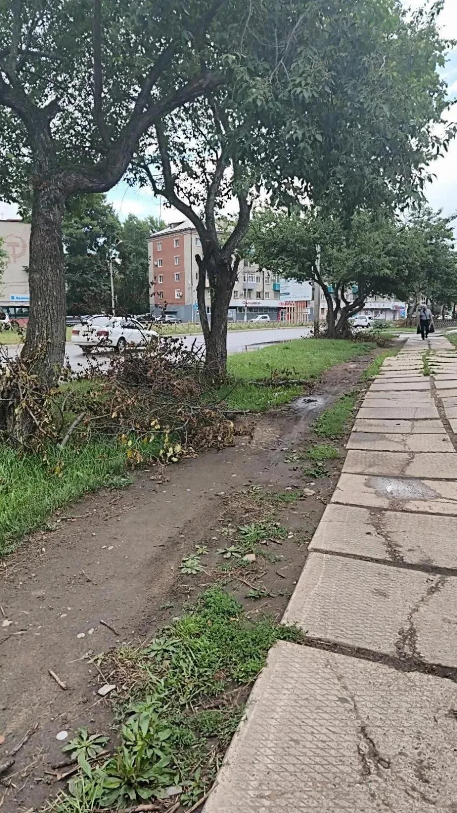 17 июля представители ОХКО ООО «Всероссийского общества  инвалидов» г. Комсомольска-на-Амуре проверяли благоустройство некоторых улиц г. Комсомольска-на-Амуре. 