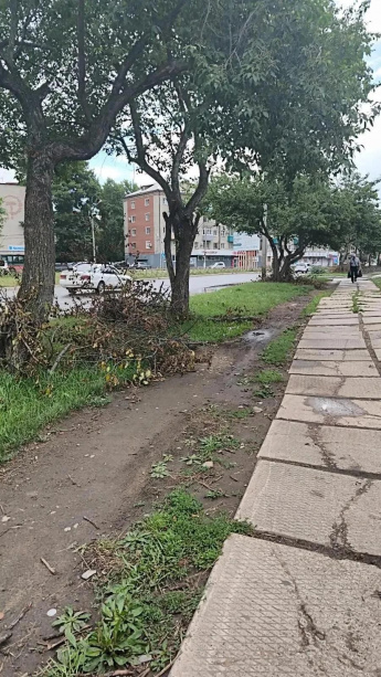 17 июля представители ОХКО ООО «Всероссийского общества  инвалидов» г. Комсомольска-на-Амуре проверяли благоустройство некоторых улиц г. Комсомольска-на-Амуре. 