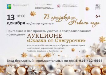  Аукцион "Сказка от Снегурочки"